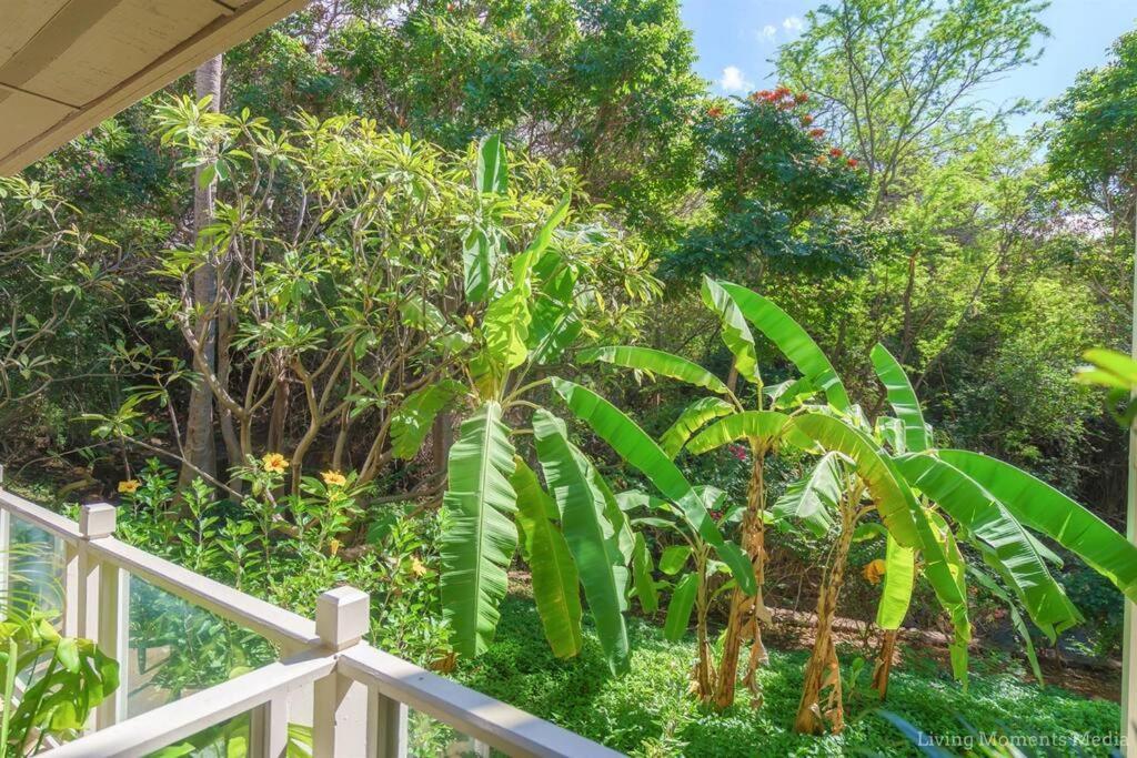 Tiki Tiki - Gorgeous Boho Beach Hideaway! ويليا المظهر الخارجي الصورة